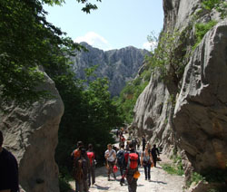 Erste Mai Veranstaltungen in Paklenica